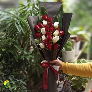 دسته گل رز هلندی سفید و قرمز