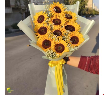 دسته گل آفتابگردان