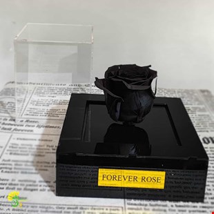 باکس گل رز جاودان مشکی
