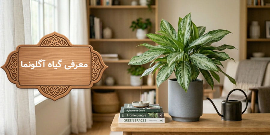 راهنمای جامع نگهداری، تکثیر و درمان بیماری‌های گیاه آگلونما