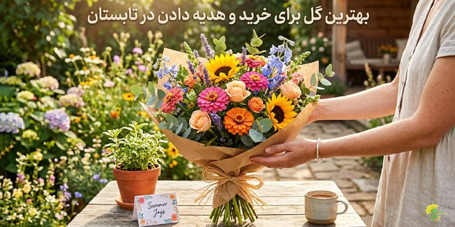 بهترین گل برای خرید و هدیه دادن در تابستان