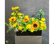 باکس گل آفتابگردان مدل تهمینه