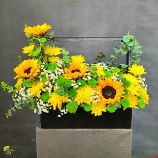 باکس گل آفتابگردان مدل تهمینه