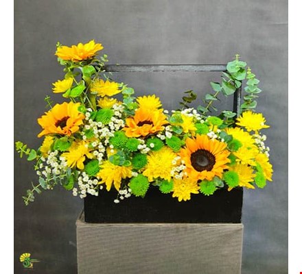 باکس گل آفتابگردان مدل تهمینه