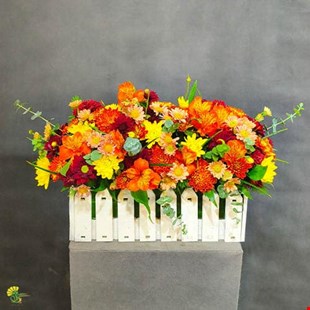 باکس گل آبان