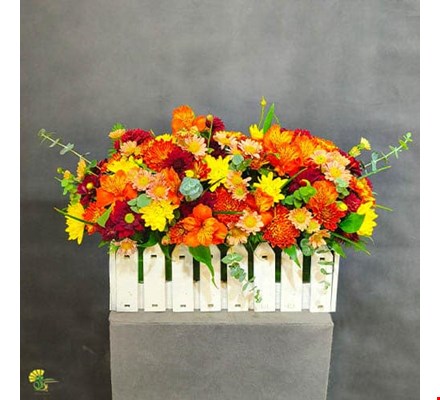 باکس گل آبان