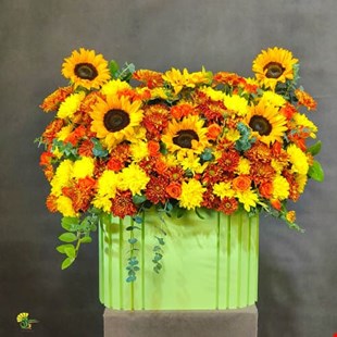 باکس گل آفتاب