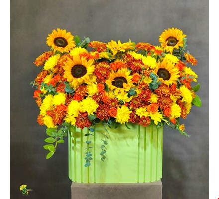 باکس گل آفتاب