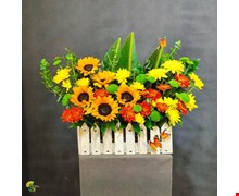 باکس گل باغچه آفتاب