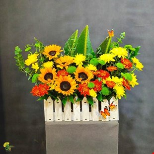 باکس گل باغچه آفتاب