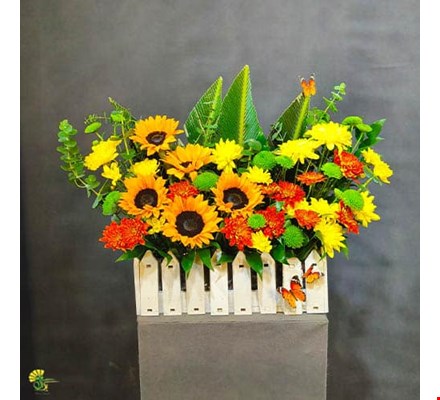 باکس گل باغچه آفتاب