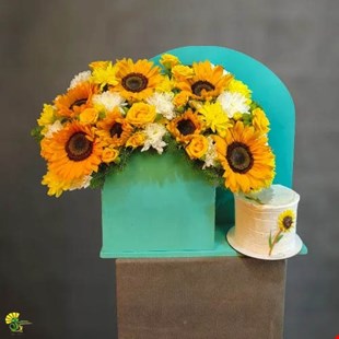 باکس گل و کیک آفتابگردان