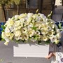 باکس گل دلناز