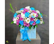 باکس گل هدیه دینا