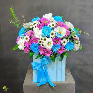 باکس گل هدیه دینا