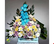 باکس گل هایزنبرگ