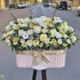 باکس گل هانیا