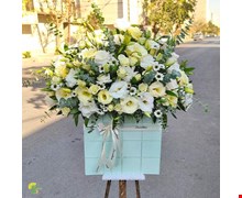 باکس گل لاکچری لیسیانتوس