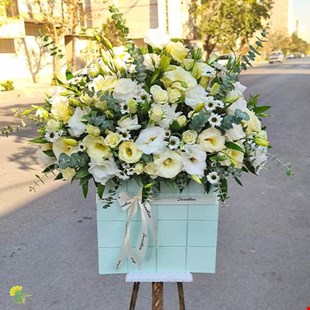 باکس گل لاکچری لیسیانتوس