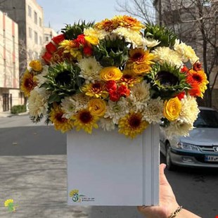 باکس گل لونا