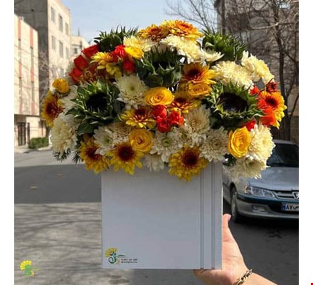 باکس گل لونا