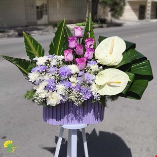 باکس گل مشهد