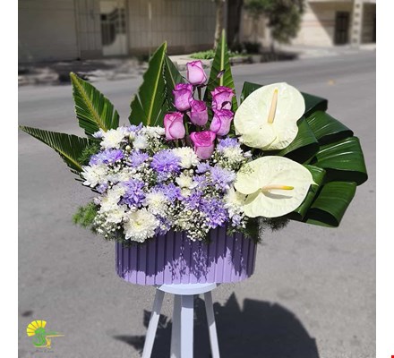باکس گل مشهد