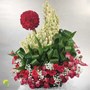 باکس گل متین