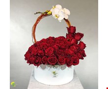 باکس گل مژده