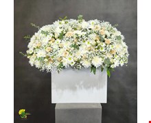 باکس گل نغمه