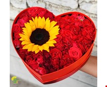 باکس گل نگاه