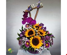 باکس گل نیایش 