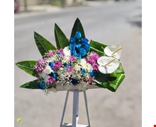 باکس گل اقیانوس