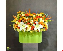 باکس گل پرنده بهشتی