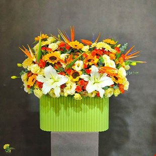 باکس گل پرنده بهشتی