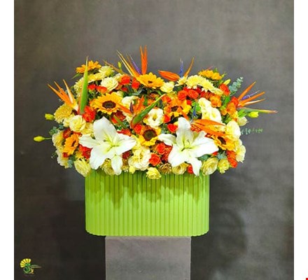 باکس گل پرنده بهشتی