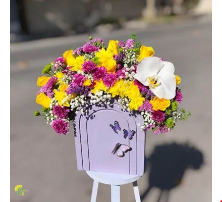 باکس گل فانتوم