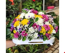 باکس گل رعنا