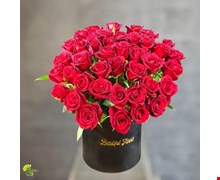 باکس گل رز قرمز لوکس