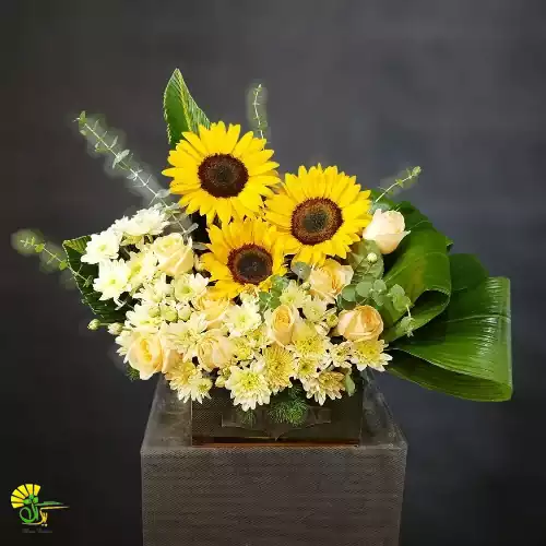 باکس گل آفتابگردان، رز و داوودی