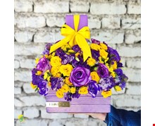 باکس گل ثنا 