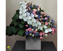 باکس گل سارینا