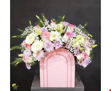 باکس گل سناتور