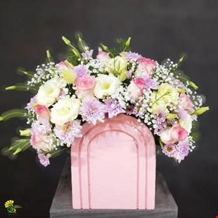 باکس گل سناتور