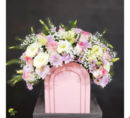 باکس گل سناتور