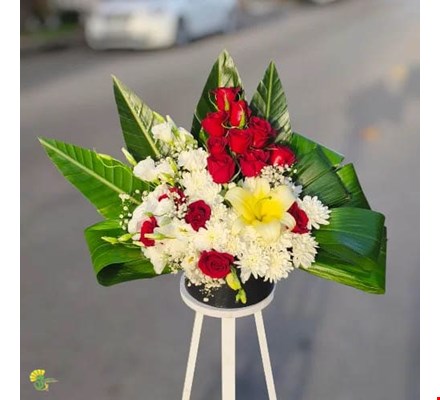 باکس گل سودا