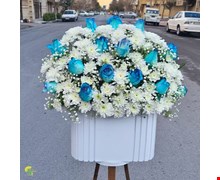 باکس گل هدیه شبنم