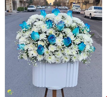 باکس گل هدیه شبنم