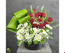 باکس گل تبریک ونوس