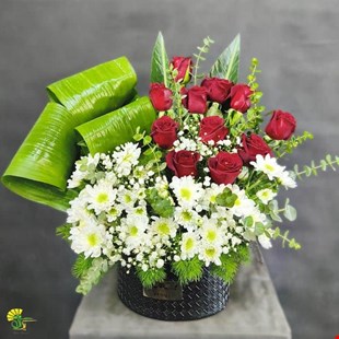 باکس گل تبریک ونوس - خرید گل مشهد